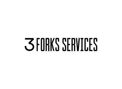 3 Fork Energy Services